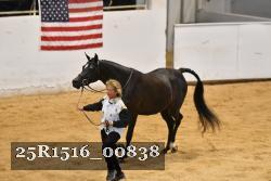 25R1516_00838 thumbnail