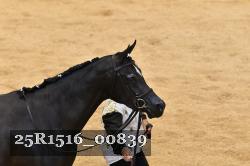 25R1516_00839 thumbnail