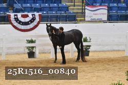 25R1516_00840 thumbnail