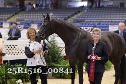 25R1516_00841 thumbnail