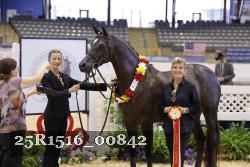 25R1516_00842 thumbnail