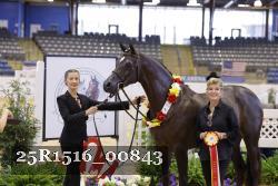 25R1516_00843 thumbnail
