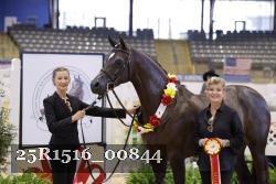 25R1516_00844 thumbnail