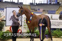 25R1516_00845 thumbnail