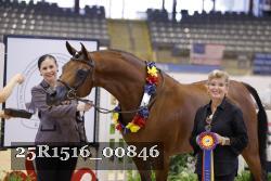 25R1516_00846 thumbnail