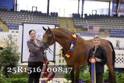 25R1516_00847 thumbnail