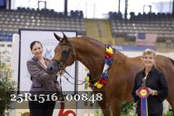 25R1516_00848 thumbnail