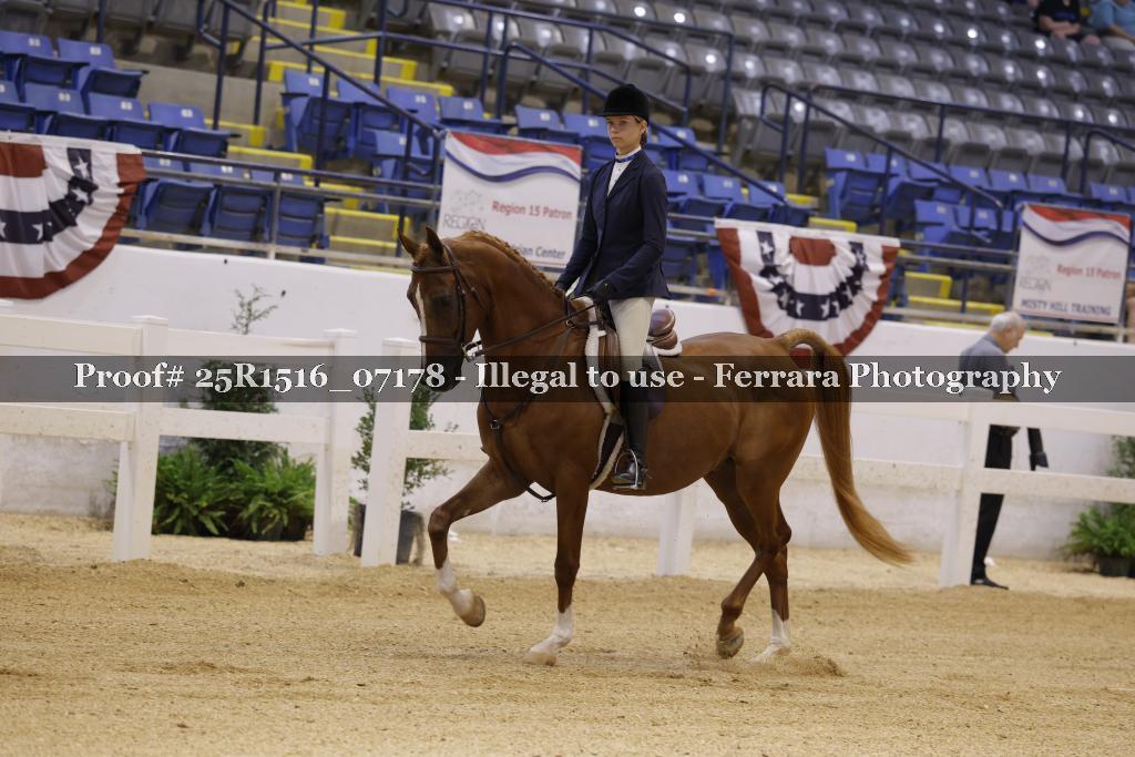 Proof Number 25R1516_07178