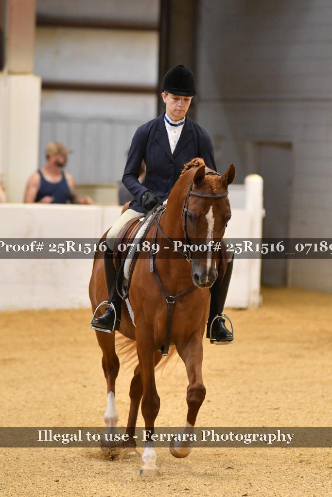 Proof Number 25R1516_07189