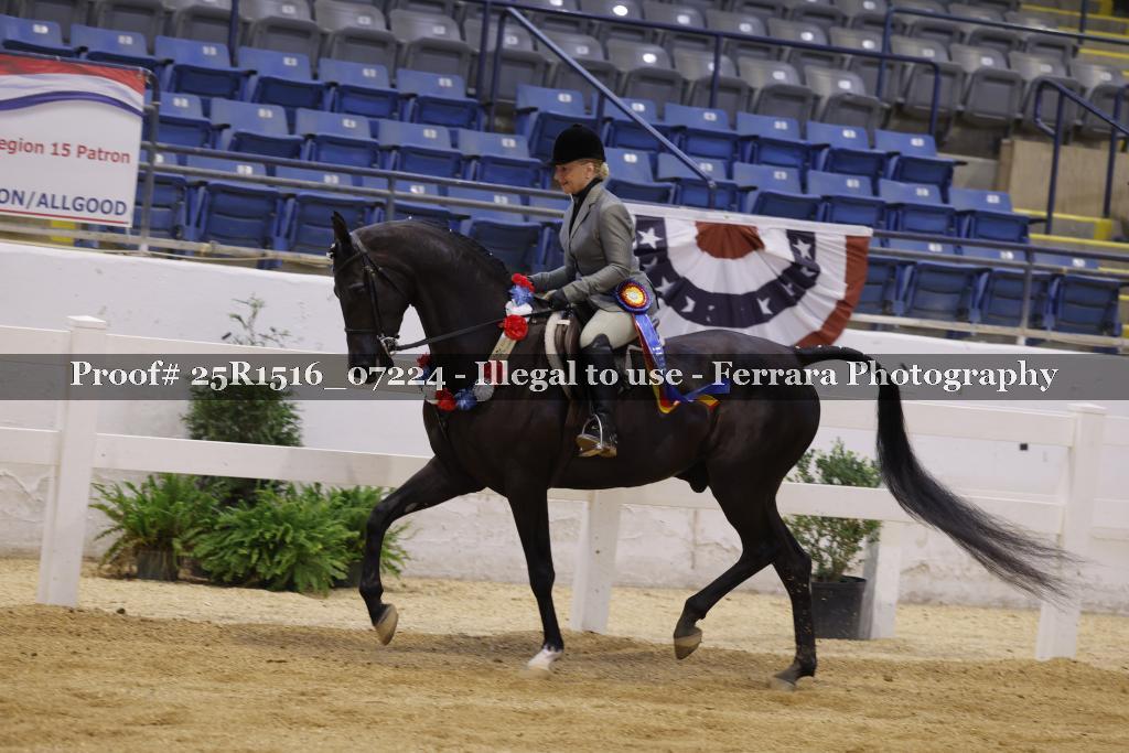 Proof Number 25R1516_07224