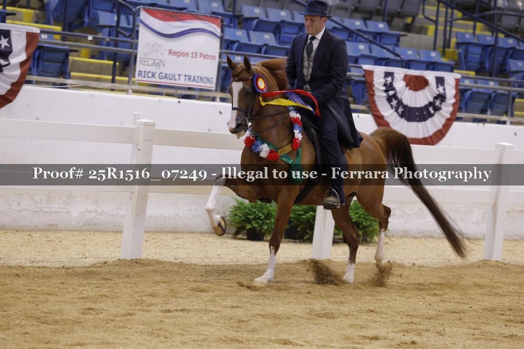 Proof Number 25R1516_07249