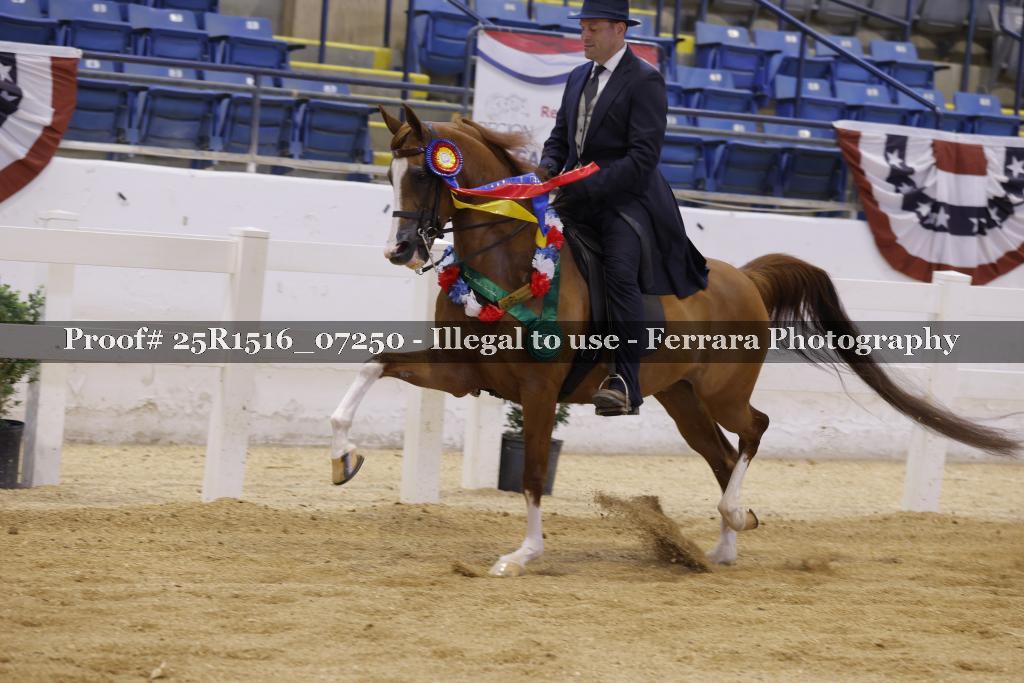 Proof Number 25R1516_07250