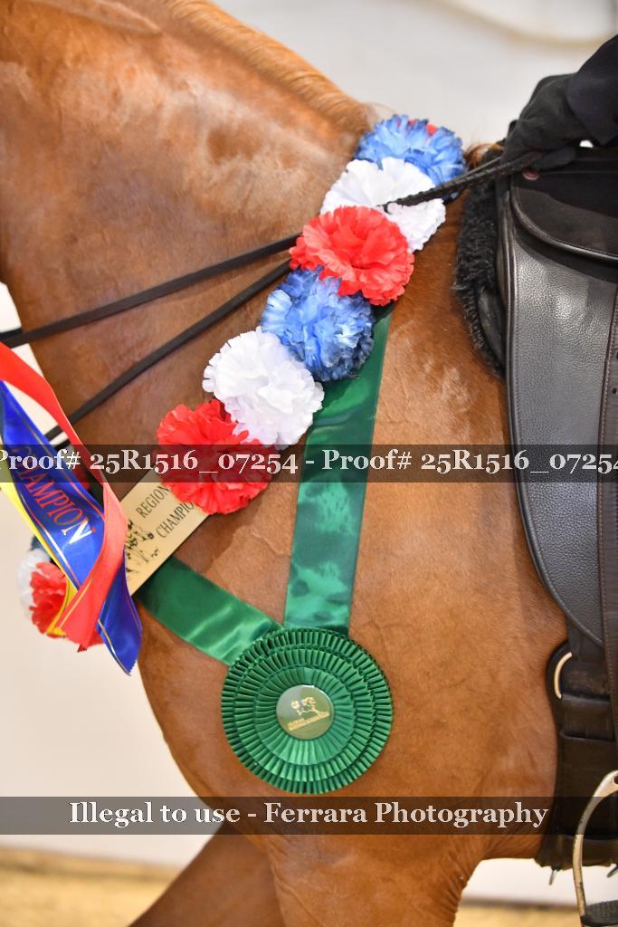 Proof Number 25R1516_07254