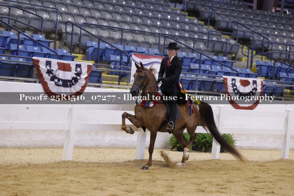 Proof Number 25R1516_07277