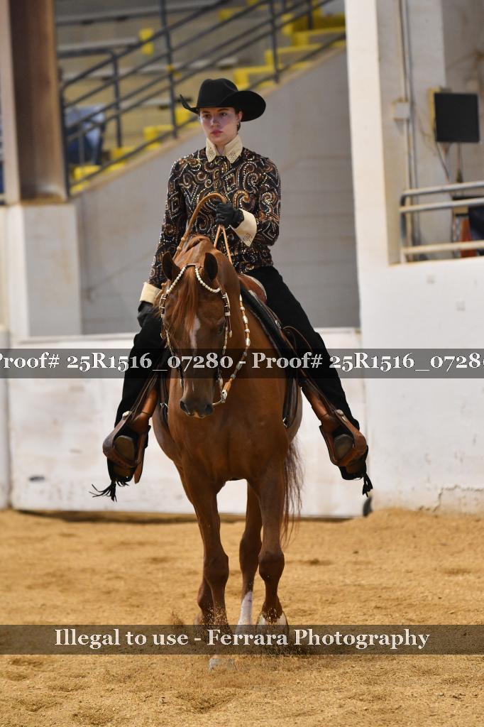 Proof Number 25R1516_07280