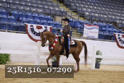25R1516_07290 thumbnail
