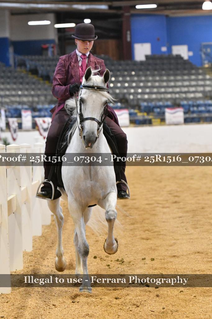 Proof Number 25R1516_07304