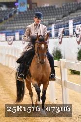 25R1516_07306 thumbnail