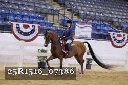 25R1516_07386 thumbnail