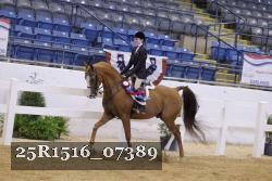 25R1516_07389 thumbnail