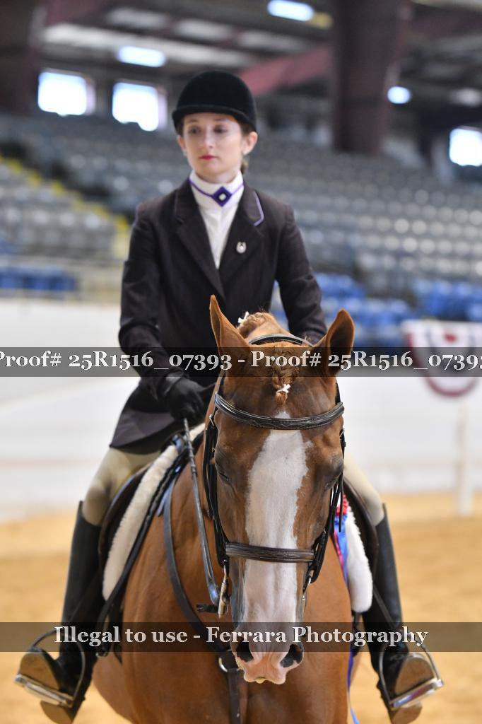 Proof Number 25R1516_07393