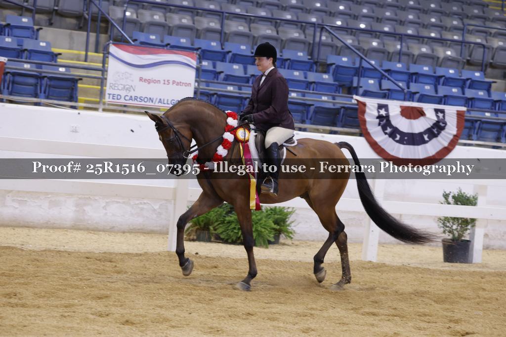 Proof Number 25R1516_07395