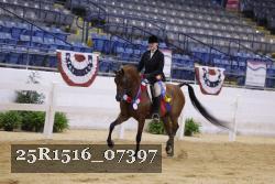 25R1516_07397 thumbnail