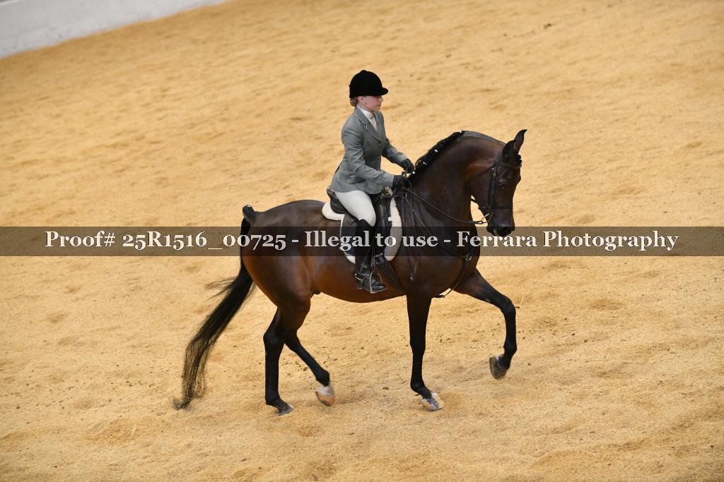 Proof Number 25R1516_00725