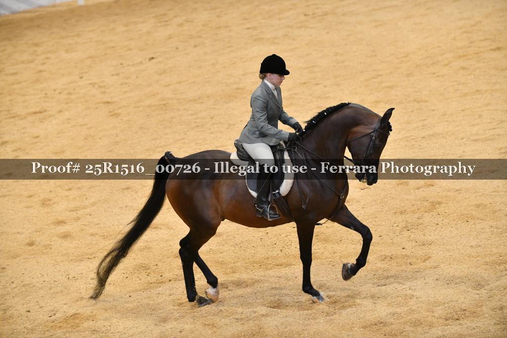 Proof Number 25R1516_00726