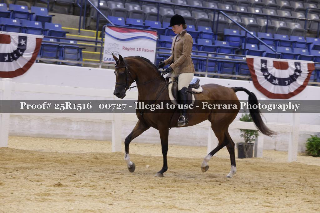 Proof Number 25R1516_00727