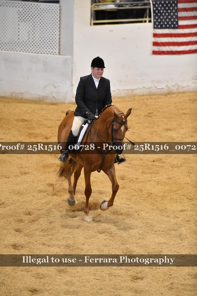 Proof Number 25R1516_00728
