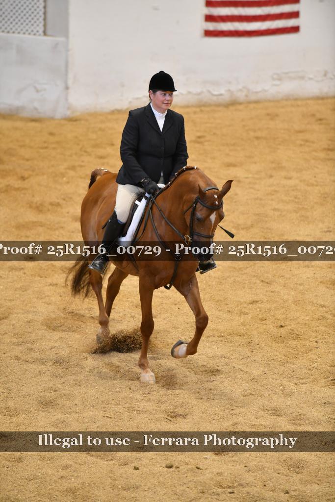 Proof Number 25R1516_00729