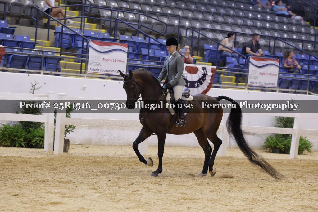 Proof Number 25R1516_00730