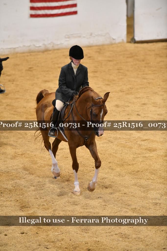 Proof Number 25R1516_00731