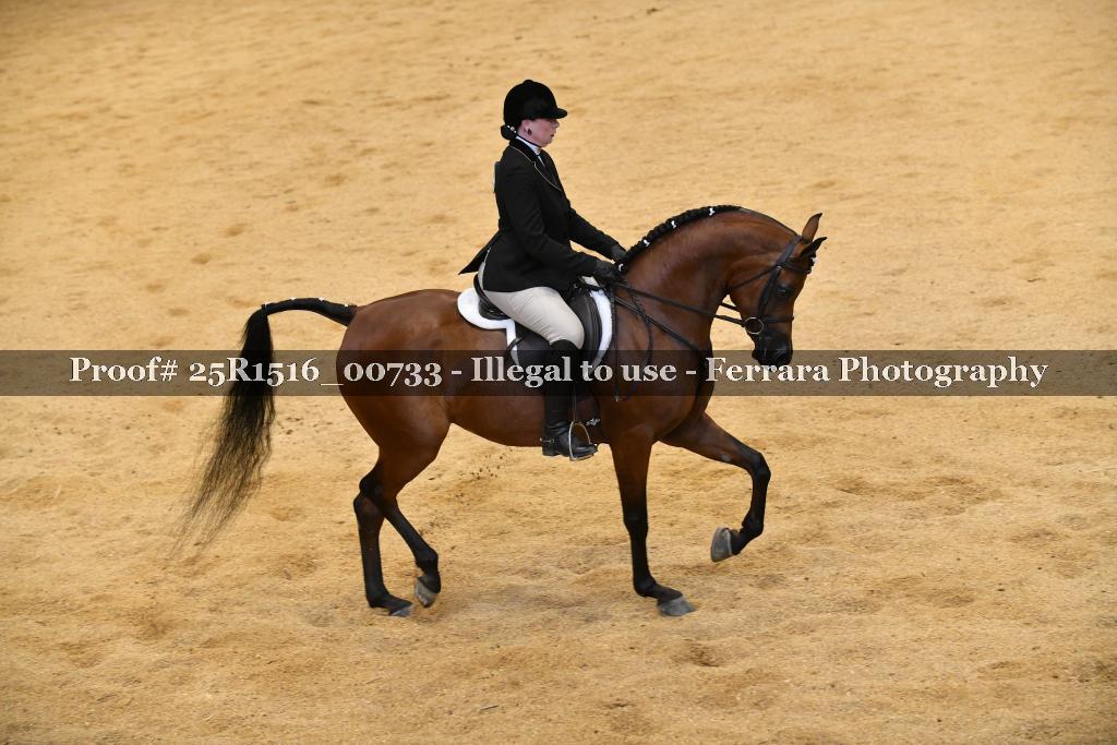 Proof Number 25R1516_00733