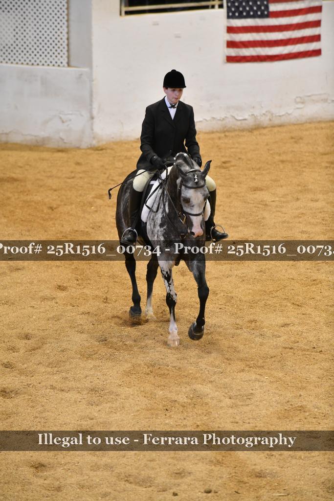 Proof Number 25R1516_00734
