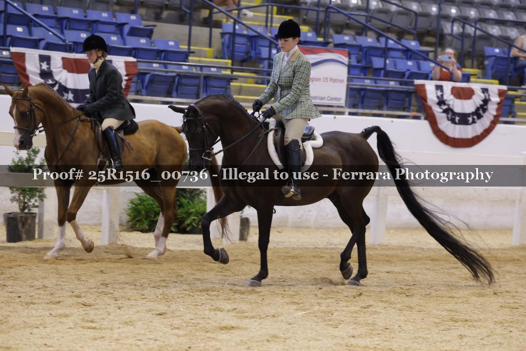 Proof Number 25R1516_00736