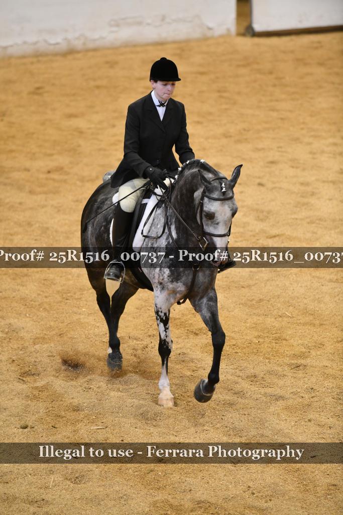 Proof Number 25R1516_00737