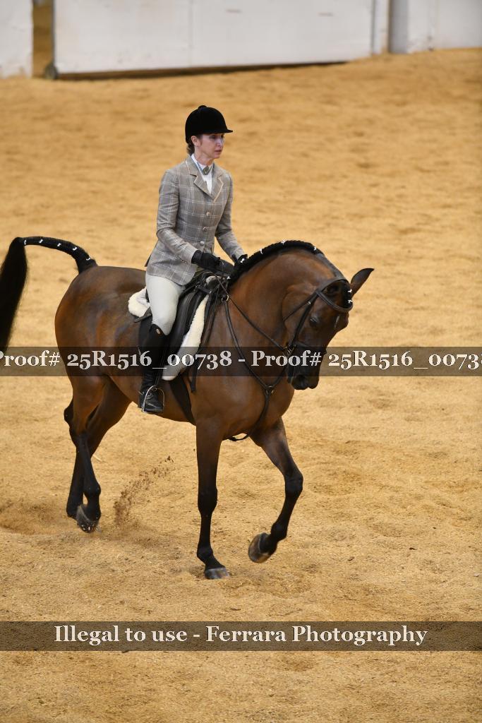 Proof Number 25R1516_00738