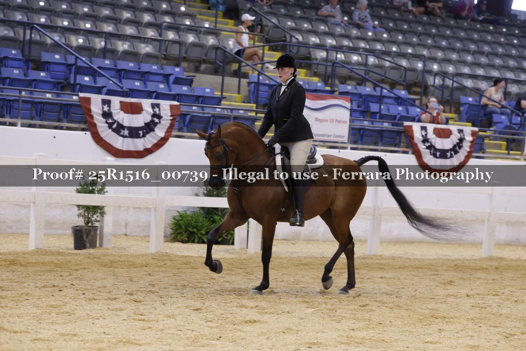 Proof Number 25R1516_00739