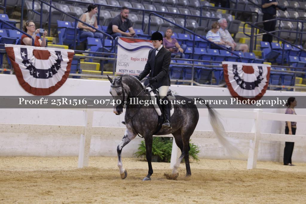 Proof Number 25R1516_00740