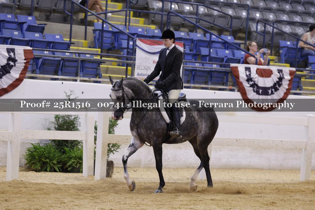 Proof Number 25R1516_00741