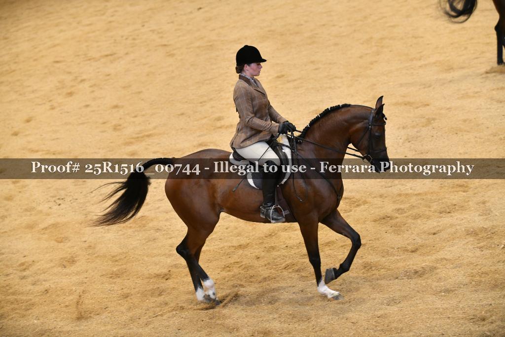 Proof Number 25R1516_00744