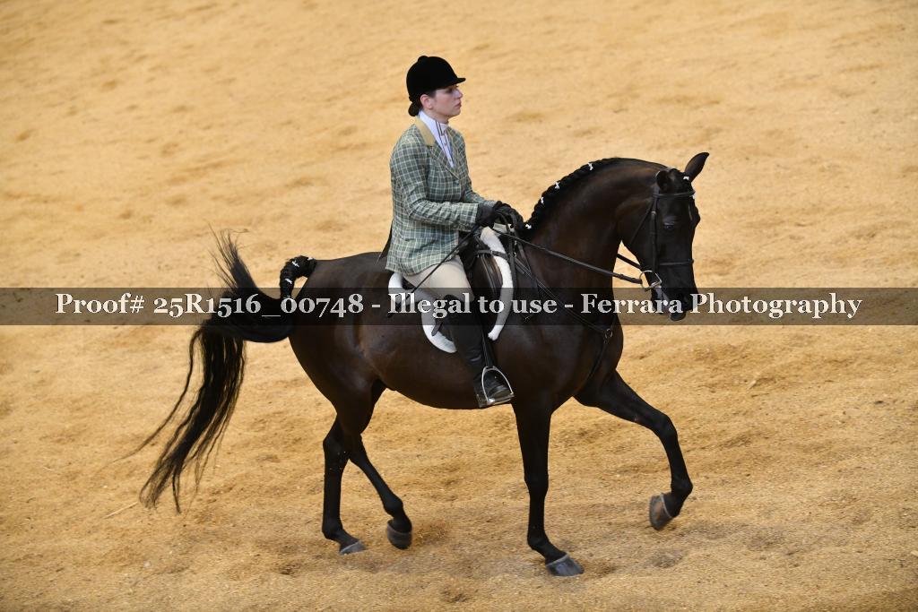 Proof Number 25R1516_00748