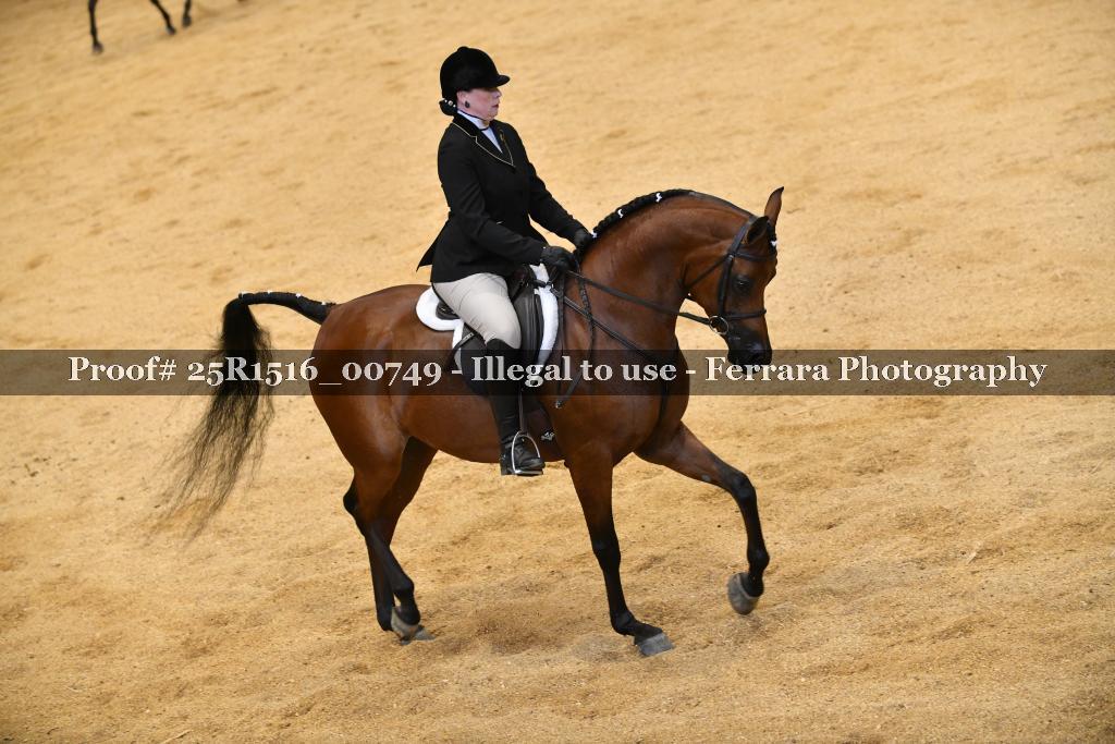 Proof Number 25R1516_00749