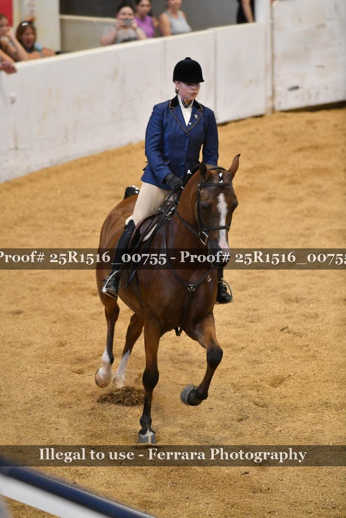 Proof Number 25R1516_00755
