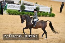25R1516_00764 thumbnail