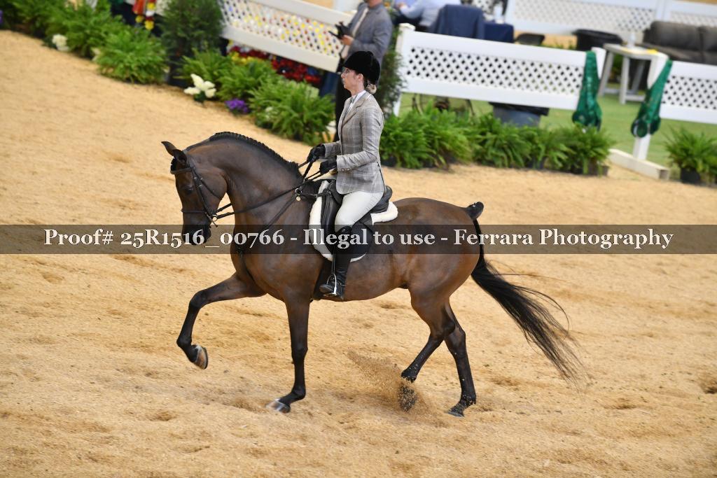 Proof Number 25R1516_00766