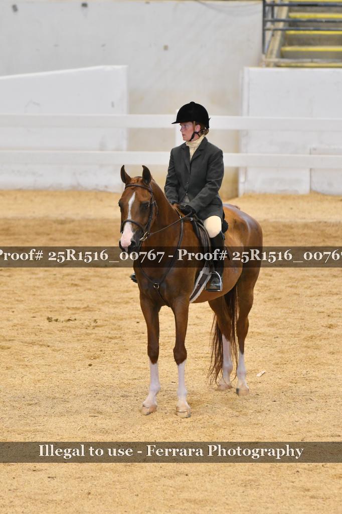 Proof Number 25R1516_00767