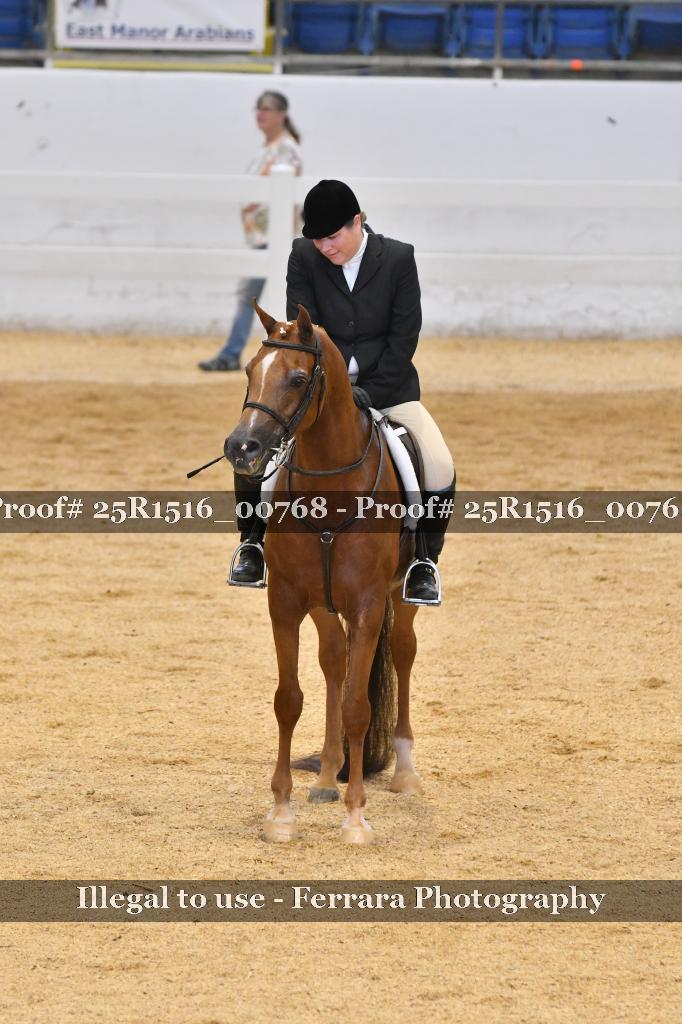 Proof Number 25R1516_00768